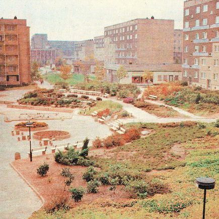 Kollektivhaine