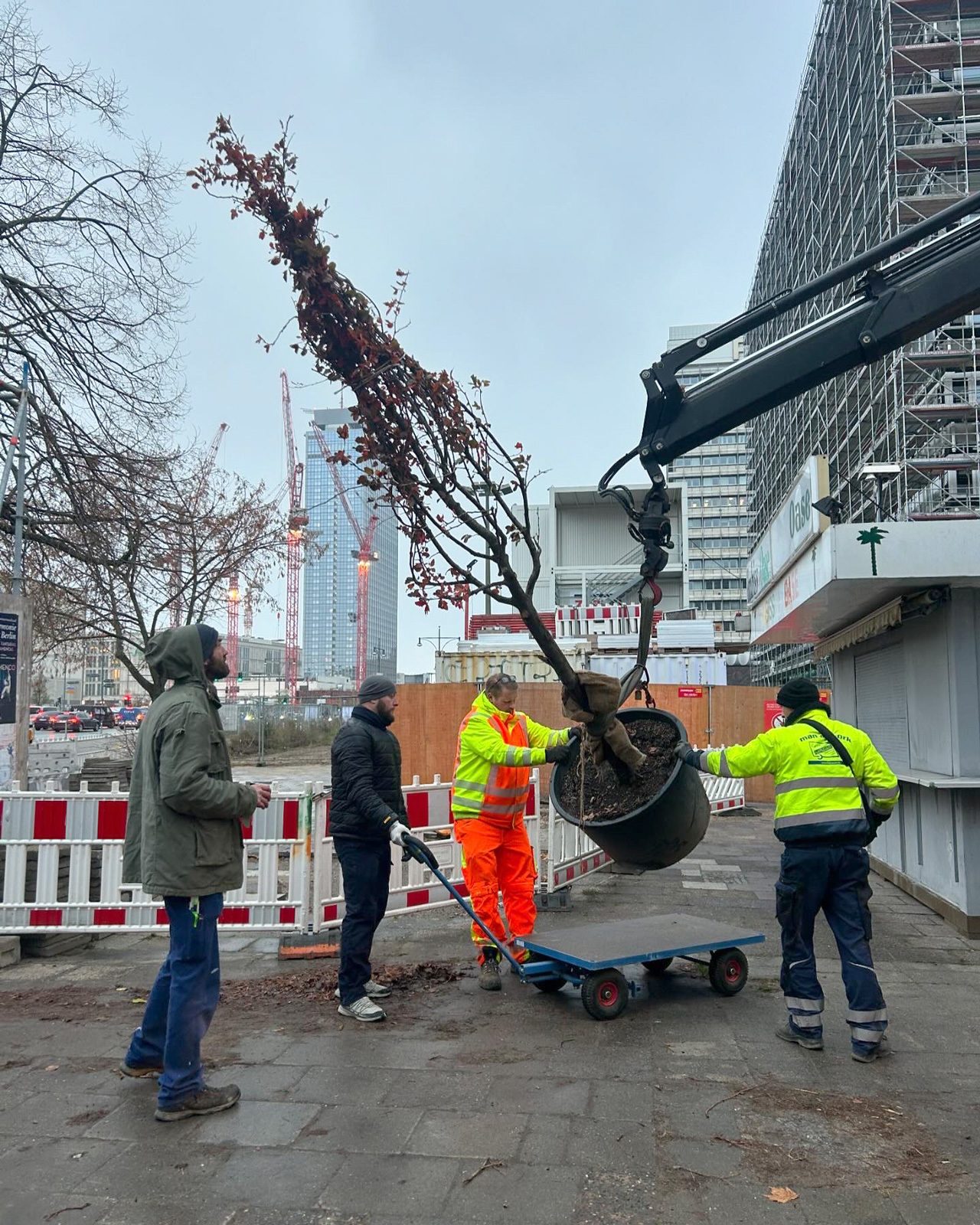 Lieferung der Bäume für Wildwoods-Installation